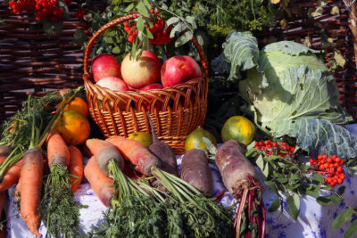 Herbsternte mit frisch geerntetem Obst und Gemüse