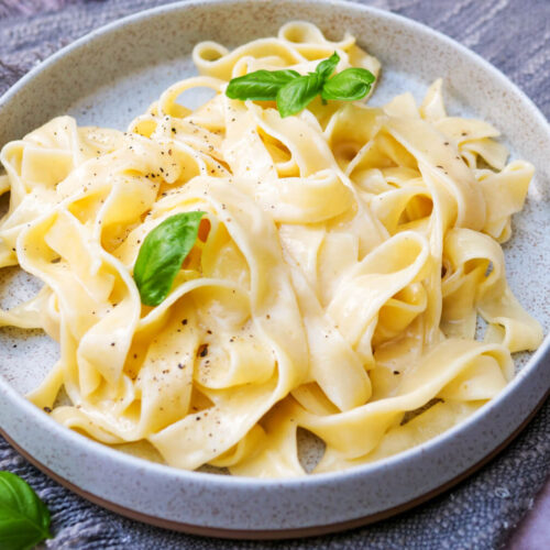 Pasta Alfredo mit Basilikum auf einem Teller.